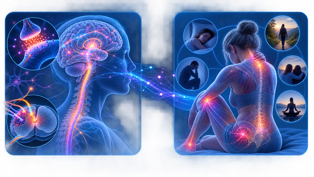 Sensibilización central y dolor nociplástico como conceptos diferentes